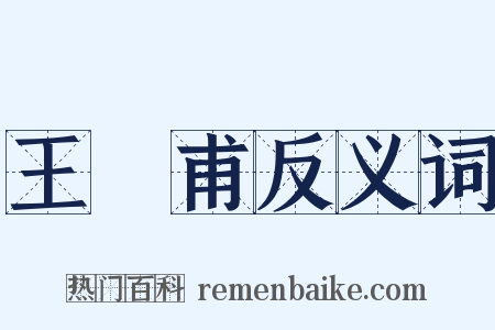 王實甫反义词是什么意思的图片